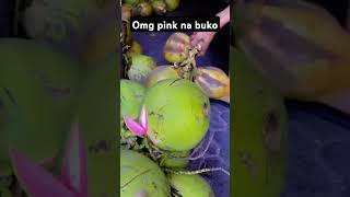 buko na pink youtubeshorts bukopink [upl. by Imogen]