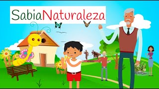 Sabia🦋 Naturaleza 👉【cuento con VALORES】 [upl. by Eldwon]