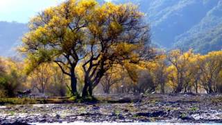 SALTA Excursión al Encon de Campo Quijano [upl. by Joannes]