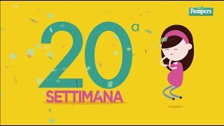 20° settimana di gravidanza [upl. by Tezzil]