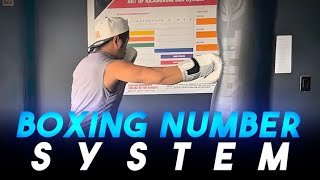 LEARN THE BOXING NUMBER SYSTEM [upl. by Riti83]