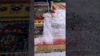 Carpet cleaning viralvideo shortvideo shortsfeed carpetcleaning [upl. by Teevens]