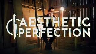 Aesthetic Perfection  Self Inflicted Official Lyric Video [upl. by Amalea]