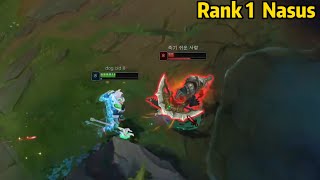 Rank 1 Nasus The Only Challenger Nasus in KR Server be Like [upl. by Chee]