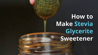 How to Make Stevia Glycerite [upl. by Judie156]