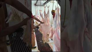 Sheep and goat skins processing sorts viralvideo [upl. by Marya]