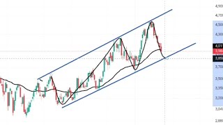 Tcs Share Prediction Shorts [upl. by Margette877]