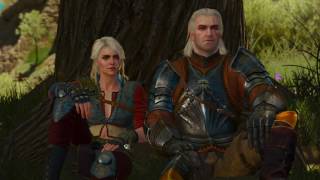 Witcher 3  Final Ending  Geralt meets Ciri the Witcher [upl. by Assir]