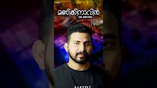 manikkinavin Sadil Ahmed Music l Malayalam Film Song Mashup l Cover Superhits Movie Songs [upl. by Netta224]