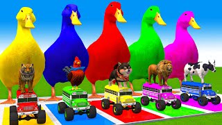 5 Giant Duck CartoonCowMammothDogTRexLionTiger Paint Wild Animals Crossing Fountain Animation [upl. by Trevethick]