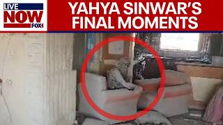 Yahya Sinwar killed Final moments caught on drone video IDF says  LiveNOW from FOX [upl. by Nylime]