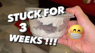 Tarantula Unboxing after 3 WEEKS UNDELIVERED  🤞🏼 because COVID19 [upl. by Saretta]