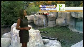 WEEK25 Peoria IL October 18 2014 6pm newscast Samantha Chatman weather segment [upl. by Beller]