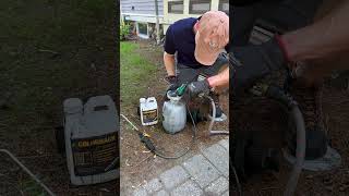 How To Refresh Mulch with Mulch Dye or Stain shorts [upl. by Elsie681]