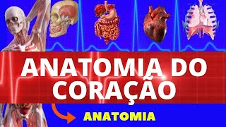 ANATOMIA DO CORAÇÃO LOCALIZAÇÃO CAMADAS VALVAS CORONÁRIAS E INERVAÇÃO  SISTEMA CARDIOVASCULAR [upl. by Burrill949]