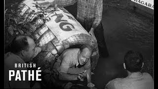 Trip over Niagara Falls in Barrel 1951 [upl. by Prudhoe]