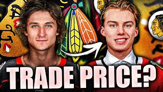 TREVOR ZEGRAS TO CHICAGO BLACKHAWKS TRADE PRICE Anaheim Ducks Trade Rumours [upl. by Elrak]