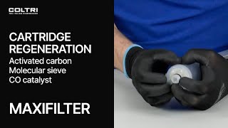 Cartridge Regeneration MAXIFILTER Molecular Sieve  Activated Carbon  CO Catalyst [upl. by Kylila]