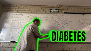 Diabetes fisiología fisiopatologia y tratamiento [upl. by Ennadroj433]