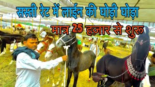 बिलकुल सस्ती रेट में लाईन के घोड़ा घोड़ी Sarang Kheda Chetak festival2023 [upl. by Weeks]