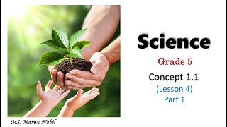 grade 5  science first term concept 11 lesson 4 part 1 [upl. by Eadwine]