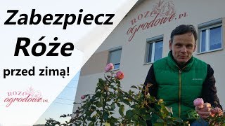 Jak zabezpieczyć róże w ogrodzie przed zimą [upl. by Russian809]