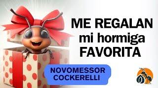 ¡TENGO UNA NOVOMESSOR especie nueva en el canal [upl. by Yrocej91]