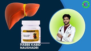 HABBE KABID NAUSHADRI  BUMS WIKI MED  LIVER INFLAMMATION [upl. by Anitsrik]