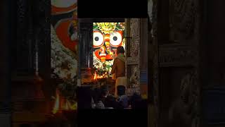 Sandhya Aarti Jagannath Temple shorts ytshorts bhajan jagannathbhajan jagannath jagannathdham [upl. by Wight287]