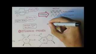 DNA  Forces maintaining structure [upl. by Nylanaj217]