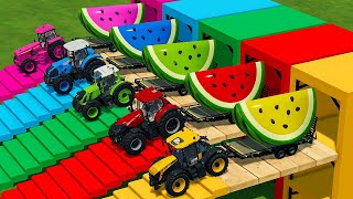 LANDINI vs DEUTZ FAHR vs FENDT vs CLAAS TRACTORS BATTLE WITH GRAPES Farming Simulator 22 [upl. by Henley523]