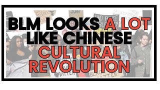 Parallels in History Comparing the BLM movement and the Chinese Cultural Revolution [upl. by Euqinad]