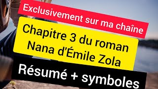 Roman Nana de Zola Résumé symboles [upl. by Leclair326]