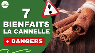 CANNELLE  SES BIENFAITS ET DANGERS POUR LA SANTE [upl. by Eliezer]