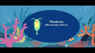 AICE Marine Science Topic 4 Exploring Water Organisms Plankton and Classification [upl. by Odey890]