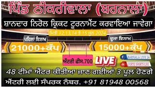 LIVE CRICKETCUP 2024 PIND THIKRIWAL BARNALA [upl. by Esorrebma]