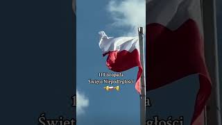 Święto Niepodległości polska poland🇵🇱 1918 victory niepodległość historia history [upl. by Naved]