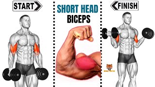 7 BEST SHORT HEAD OF BICEPS TO GET WIDTH ARMS [upl. by Eseila]