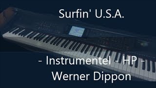 Surfen auf dem Baggersee Surfin USA  Instrumentel HP WeDi [upl. by Nnylylloh]