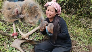 Gopher hunting in the forest nagavillagelife Nagastyle [upl. by Essile152]