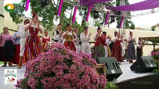 BAILINHO DA MADEIRA  Grupo de Folclore Monteverde na Festa do Vinho Madeira 2018 [upl. by Drallim]