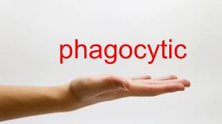 How to Pronounce phagocytic  American English [upl. by Clywd]