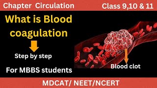 What is Blood clotting A to Z details  Blood coagulation cascade [upl. by Mccallion]