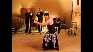 Baile Flamenco Volumen 2 parte 1 bamberas [upl. by Tyrrell]