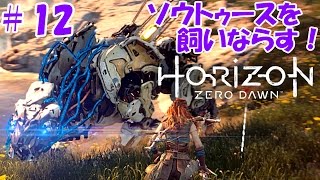 12【Horizon Zero Dawn】ソウトゥースを飼いならす！【ホライゾン ゼロ・ドーン 実況】 [upl. by Akehsat]