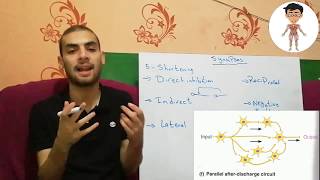 Nerd Physiology 707CNS3Synapses Follow Neuron pool processing  NeurotransmittersMedical [upl. by Koh]