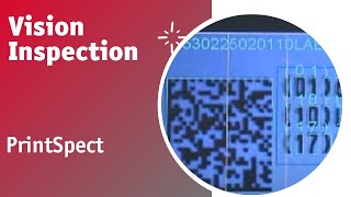 Vision Inspection  PrintSpectMV100  english [upl. by Akenihs]