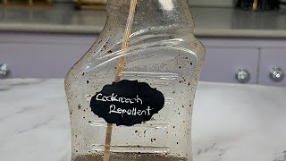 HOMEMADE COCKROACH REPELLENT [upl. by Nirred42]