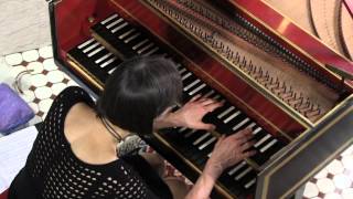 Haydn Harpsichord Comparone plays Sonata in EFlat Major 52 Allegro [upl. by Aprile]