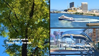 Discovering Tsim Sha Tsui Tree Walk and China Ferry Terminal View Deck tsimshatsui hongkong [upl. by Doti]